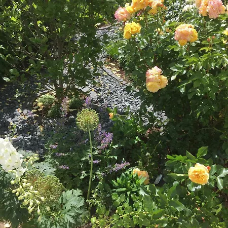 아파트 Kingshill Eppstein